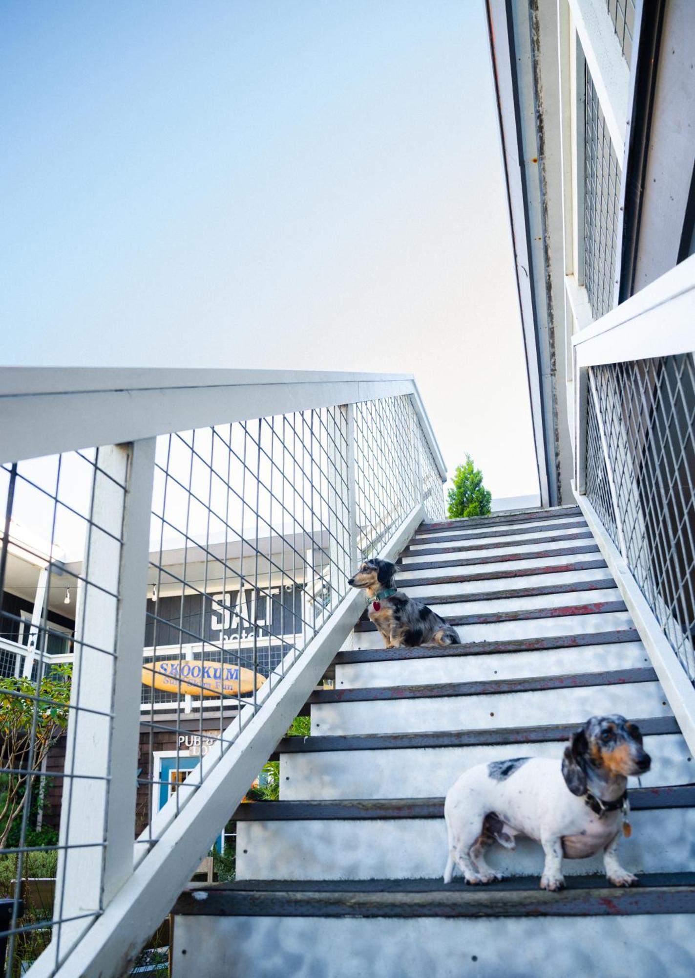 Salt Hotel & Pub Ilwaco ภายนอก รูปภาพ